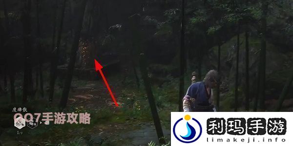 黑神话悟空三冬虫和落伽香藤获取图文位置一览