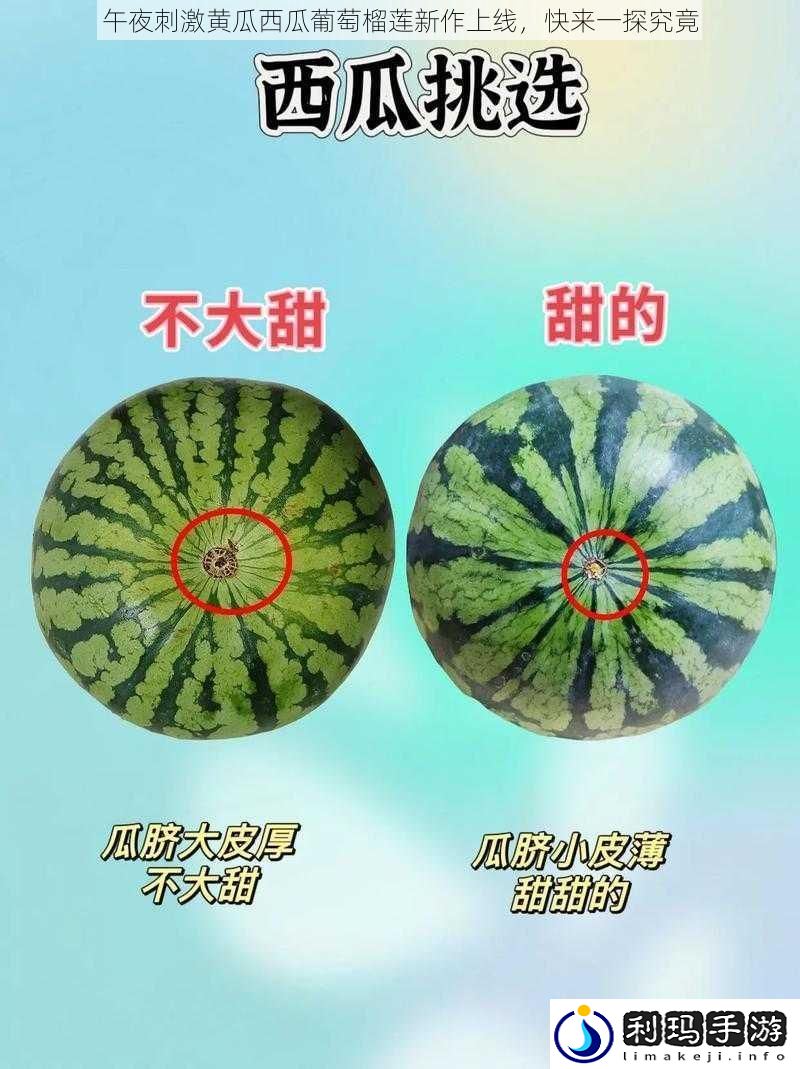 午夜刺激黄瓜西瓜葡萄榴莲新作上线快来一探究竟