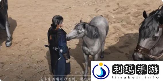 燕云十六声伏马庄祁氏家驯任务攻略