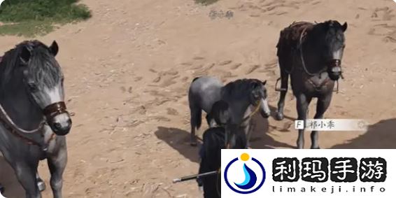 燕云十六声伏马庄祁氏家驯任务攻略