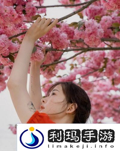日亚M码是日本的还是中国的，详细分析：日亚M码与中国市场的不同影响购物体验！