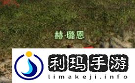 ff14挖宝功能怎么开启