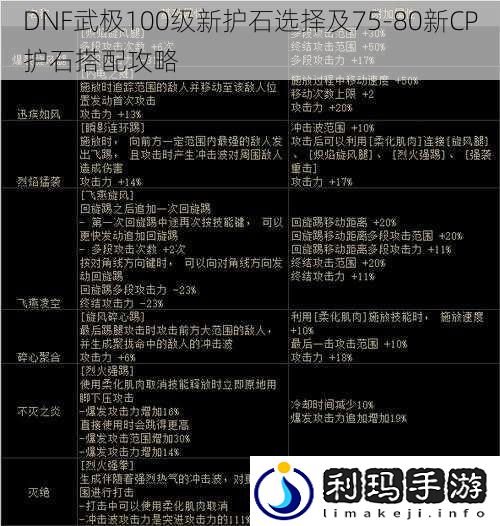 DNF武极100级新护石选择及7580新CP护石搭配攻略