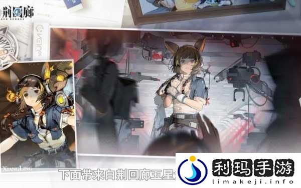 白荆回廊五星角色比戈尼娅深度解析