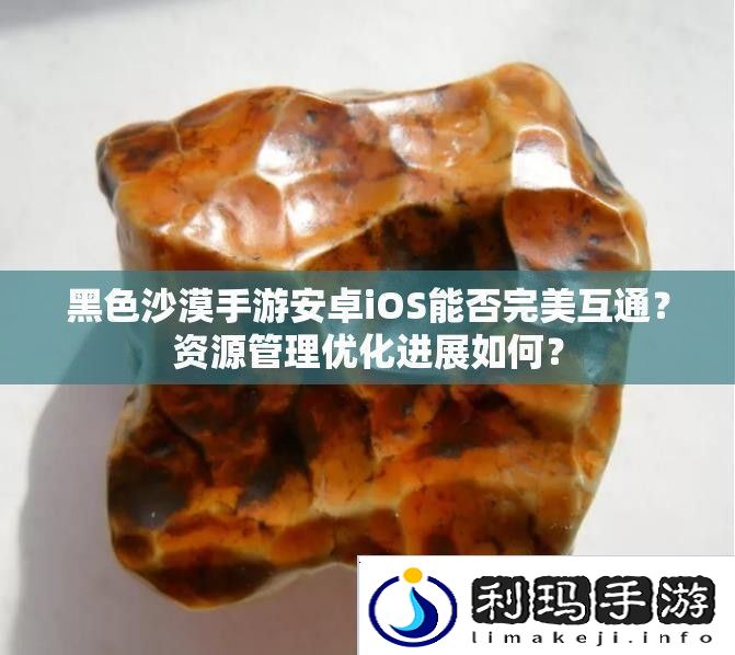 黑色沙漠手游安卓iOS能否完美互通