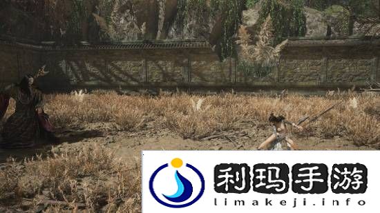 本站