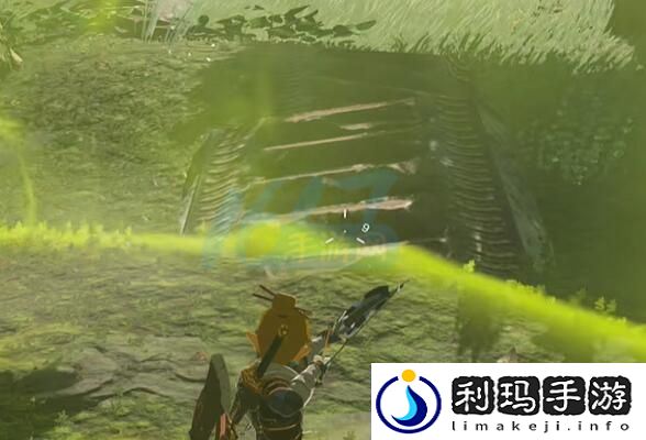 王国之泪中如何高效完成守护龙任务