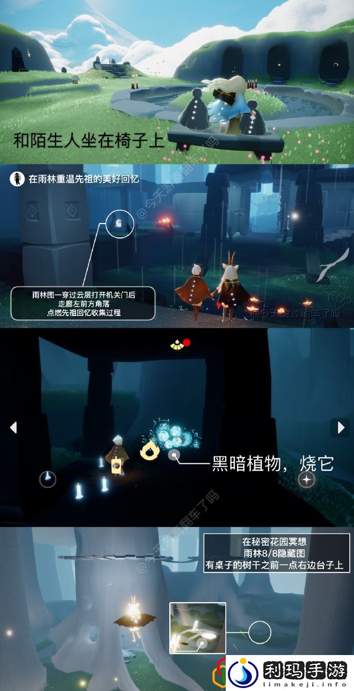 2023光遇2.3每日任务是什么 每日任务怎么完成