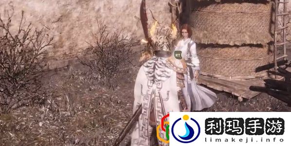 卧龙苍天陨落寻找夫君支线任务怎么做 寻找夫君支线在哪接