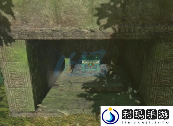 王国之泪中如何高效完成守护龙任务