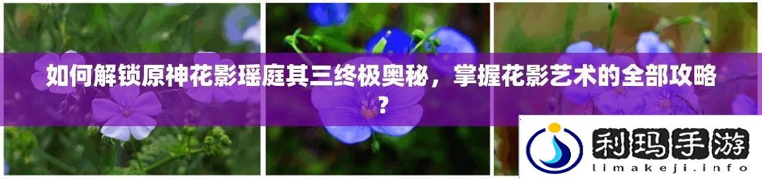 如何解锁原神花影瑶庭其三终极奥秘