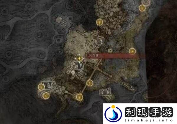 艾尔登法环菈妮支线永恒之城该干什么