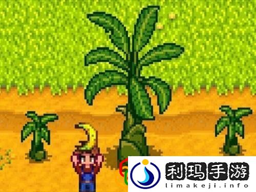 ns星露谷物语新手教程