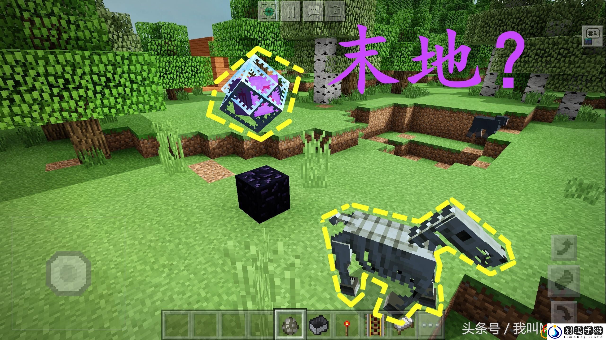 我的世界找到骷髅马靠什么技巧