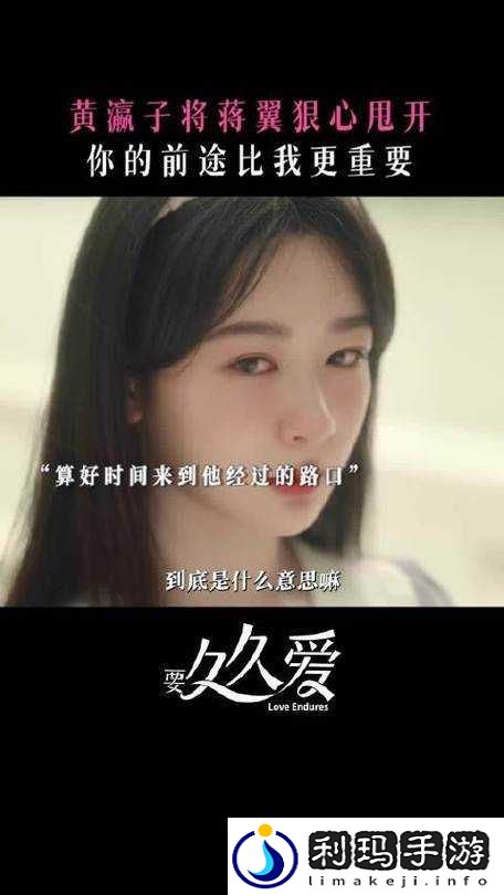 成全视频高清免费观看电视剧