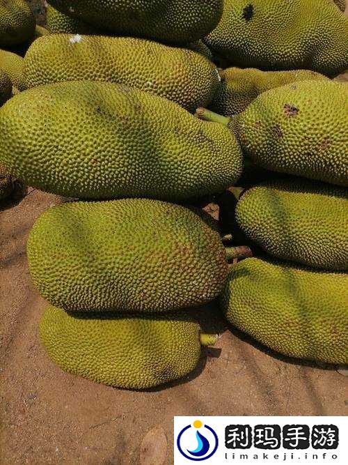 菠萝菠萝蜜手机网