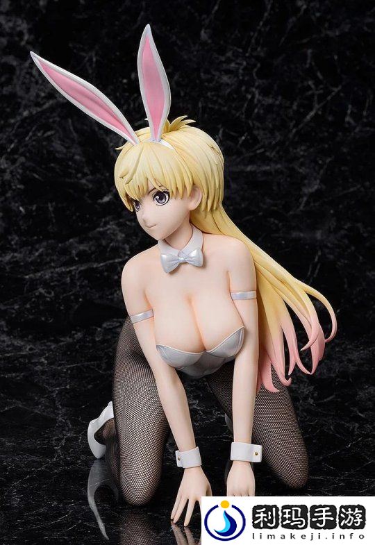 变身兔女郎！BASTARD!!暗黑破坏神辛恩·哈利手办公开