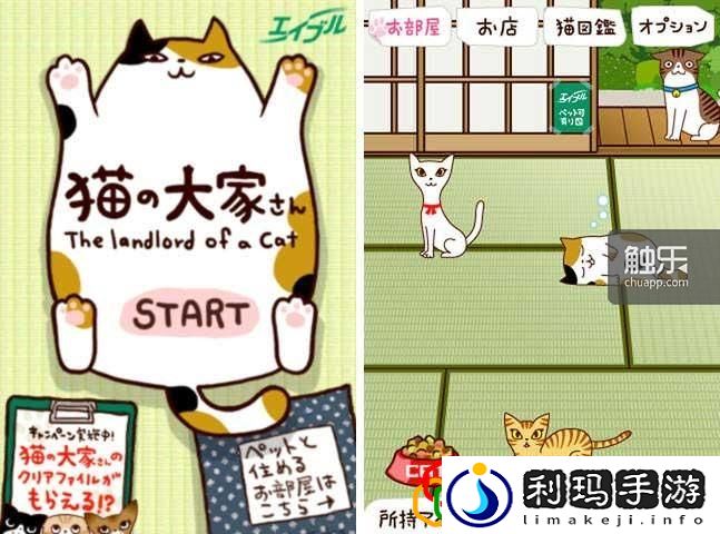 猫咪小游戏喵喵栽培乐趣是什么