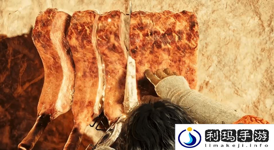 怪物猎人荒野烹饪料理有哪些效果-怪物猎人荒野烹饪料理效果大全