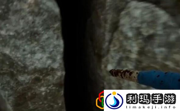 森林之子三张id卡位置在哪 钥匙卡要怎么获取