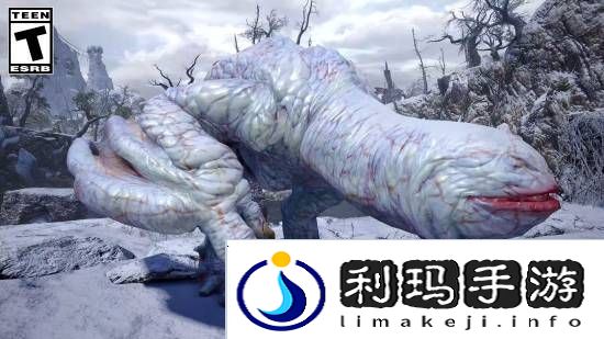 本站