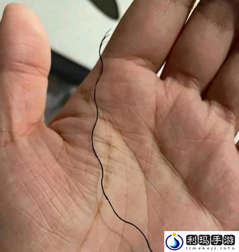 有一根又黑又硬的
