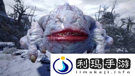 本站