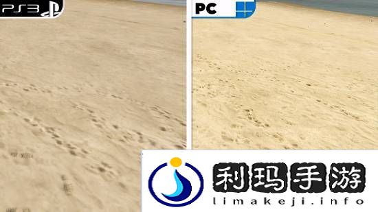 本站