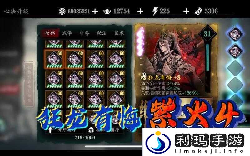 影之刃3狂龙套装升级建议在资源管理中的重要性及高效利用策略