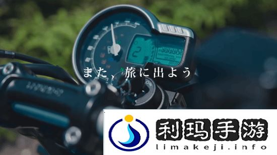 本站