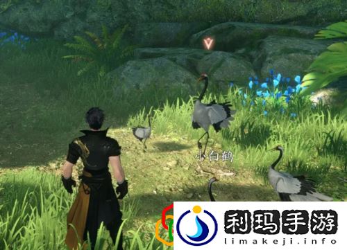 逆水寒手游天火伏雷技能怎么获得 绝崖鹤唳奇遇在哪里触发