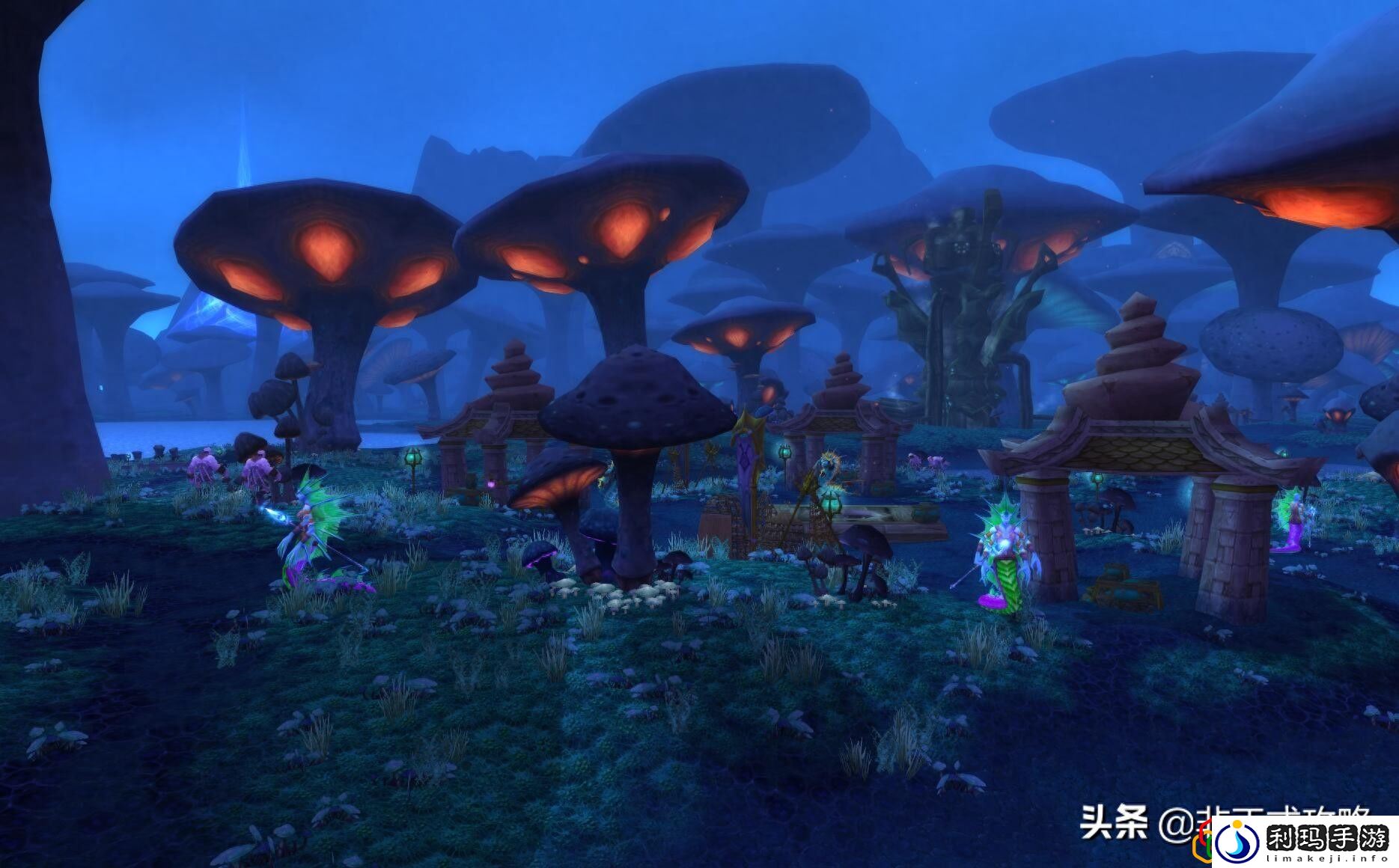 赞加沼泽任务详细流程指南