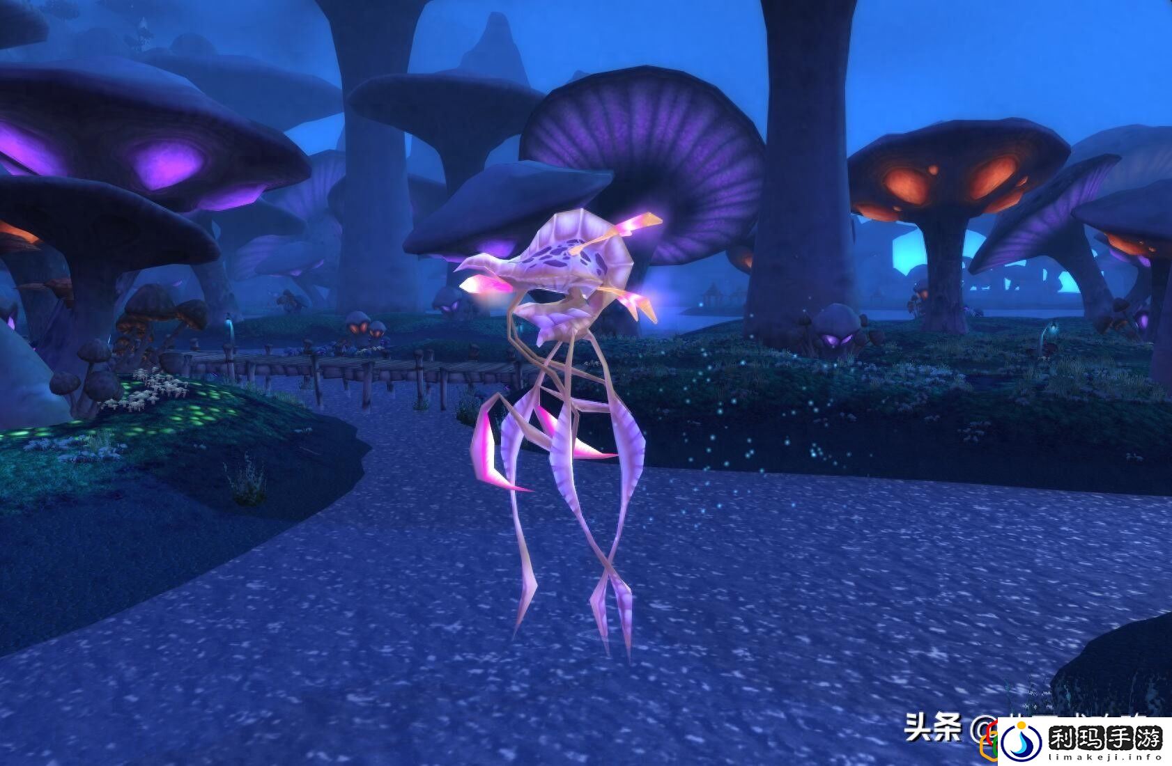 赞加沼泽任务详细流程指南