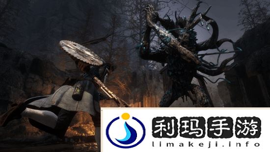 本站