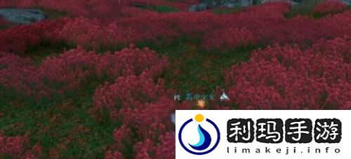 逆水寒手游昔年鹰唳怎么做 昔年鹰唳奇遇怎么触发