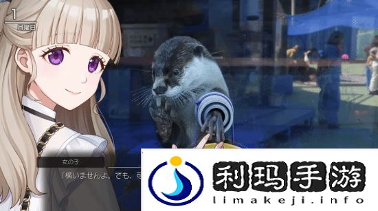 本站