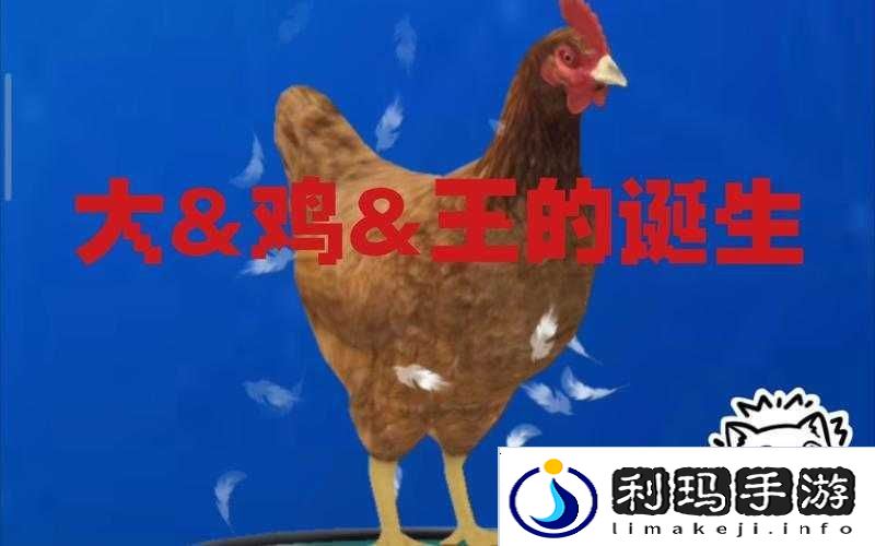 小森生活鸡王抓捕以及饲养方法介绍