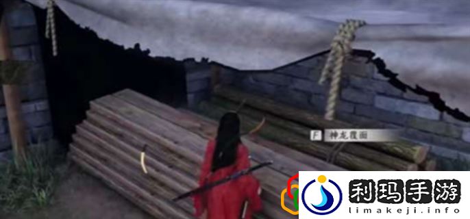 神龙覆面任务攻略 在游戏中注意节奏和节奏变化