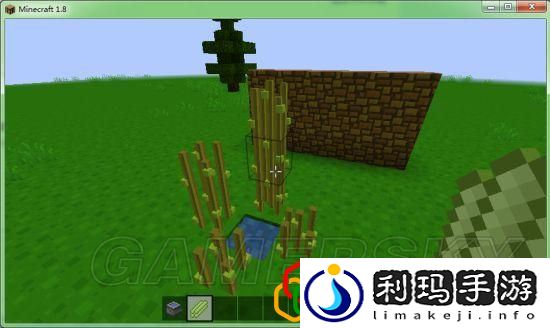 我的世界各农作物种植条件