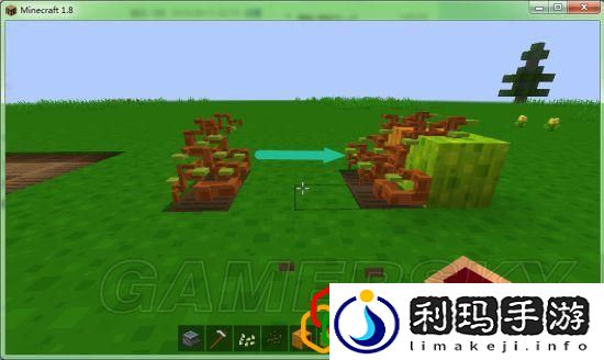 我的世界各农作物种植条件