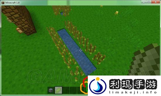 我的世界各农作物种植条件