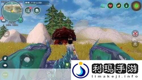 创造与魔法熔岩龟捕捉等级揭秘