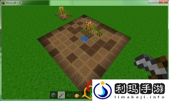 我的世界各农作物种植条件