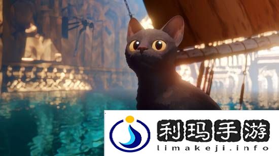 本站
