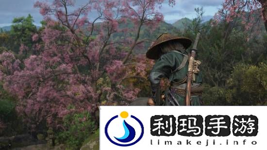本站