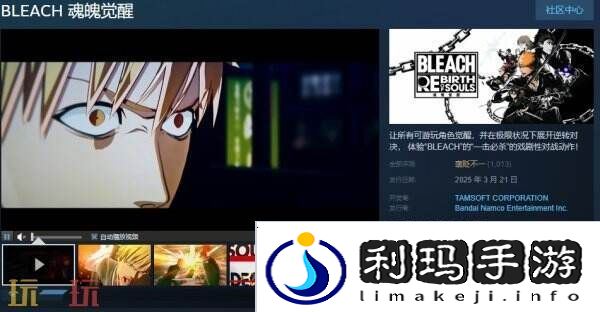 万代南梦宫3D格斗游戏《BLEACH 魂魄觉醒》现已正式发售