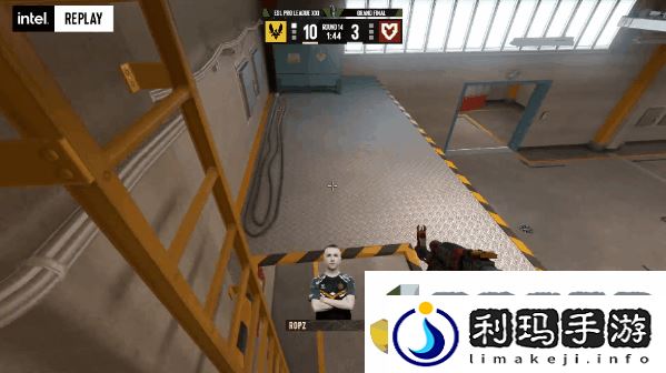 金蜂掠处千山颤！Vitality捧杯EPL