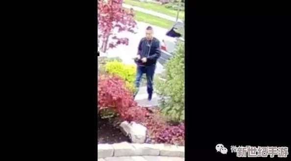 甘雨被盗宝团抓住网站