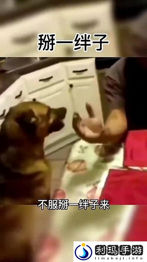 人狗大战2免费观看正版