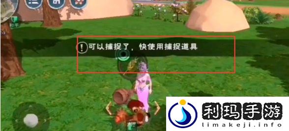 创造与魔法鸡怎么生产(鸡生产方法及捕捉位置详解)